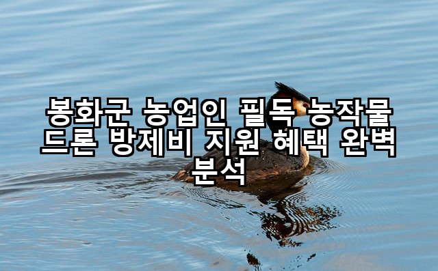 봉화군 농업인 필독 농작물 드론 방제비 지원 혜택 완벽 분석